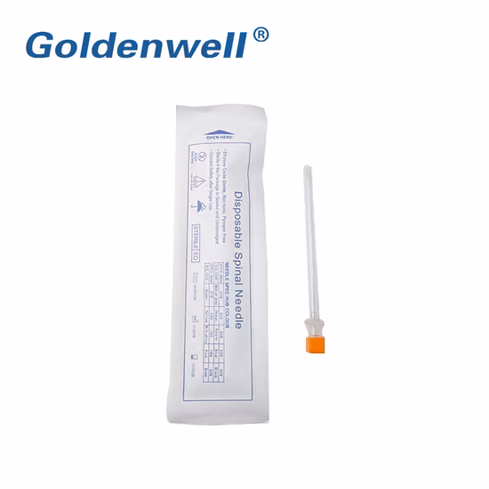Sterile Surgical Disposable Spinal Needle 27g