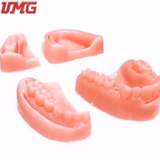 2021 Sutured Tooth Model Dental Suture Practice Pad (4 models)